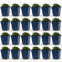 Green boutiQ - Vasteplant - Campanula portenschlagiana - Perzikbladklokje - Bodembedekkend - Roze - 24 Planten - Pot 11cm - Hoogte 15-25cm
