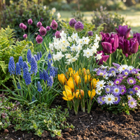 250x Bulb Garden Mix - Bollentuinmix - Diversen - Zomerbloeier - Bolmaat 10/12