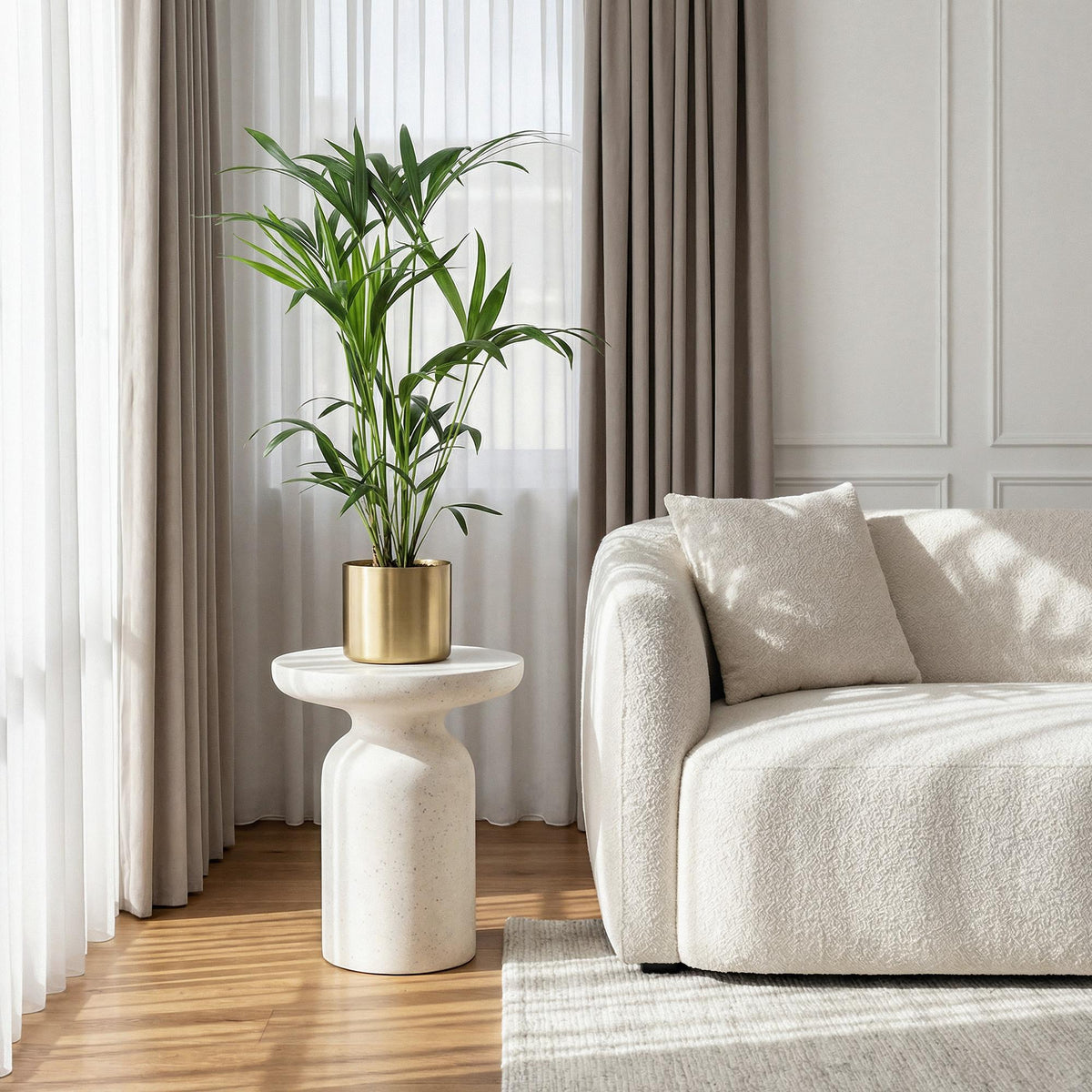 Green boutiQ - Plante d'intérieur - Howea Forsteriana - Palmier Kentia - Entretien facile - Vert - 1 plante - Pot 19cm - Hauteur 80-85cm