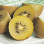 Green boutiQ - Actinidia deliciosa Golden Kiwi - Kiwi femelle - Fruit jaune - 2 Plants - Pot 15cm - Hauteur 50cm