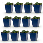 Green boutiQ - Stauden - Geranium sang. Max Frei - Storchschnabel - Bodendeckend - Rosa - 12 Pflanzen - Topf 11cm - Höhe 15-25cm