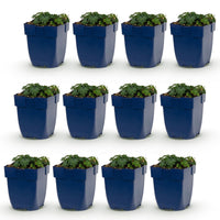 Green boutiQ - Vasteplant - Geranium sang. Max Frei - Ooievaarsbek - Bodembedekkend - Roze - 12 Planten - Pot 11cm - Hoogte 15-25cm