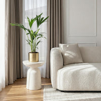Green boutiQ - Kamerplant - Howea Forsteriana - Kentia Palm - Weinig Onderhoud - Groen - 1 plant - Pot 17cm - Hoogte 70-75cm