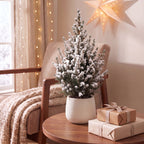 Picea glauca Conica - Dwarf Alberta Spruce - Green - White - Christmas tree - Ø17cm - ↕65cm