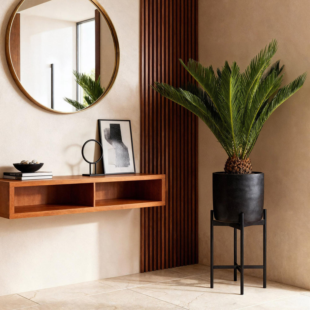 Green boutiQ - Plante d'intérieur - Cycas revoluta - Sagou du Japon - Peu d'entretien - Vert - 1 - Pot 17cm - Hauteur 55-65cm
