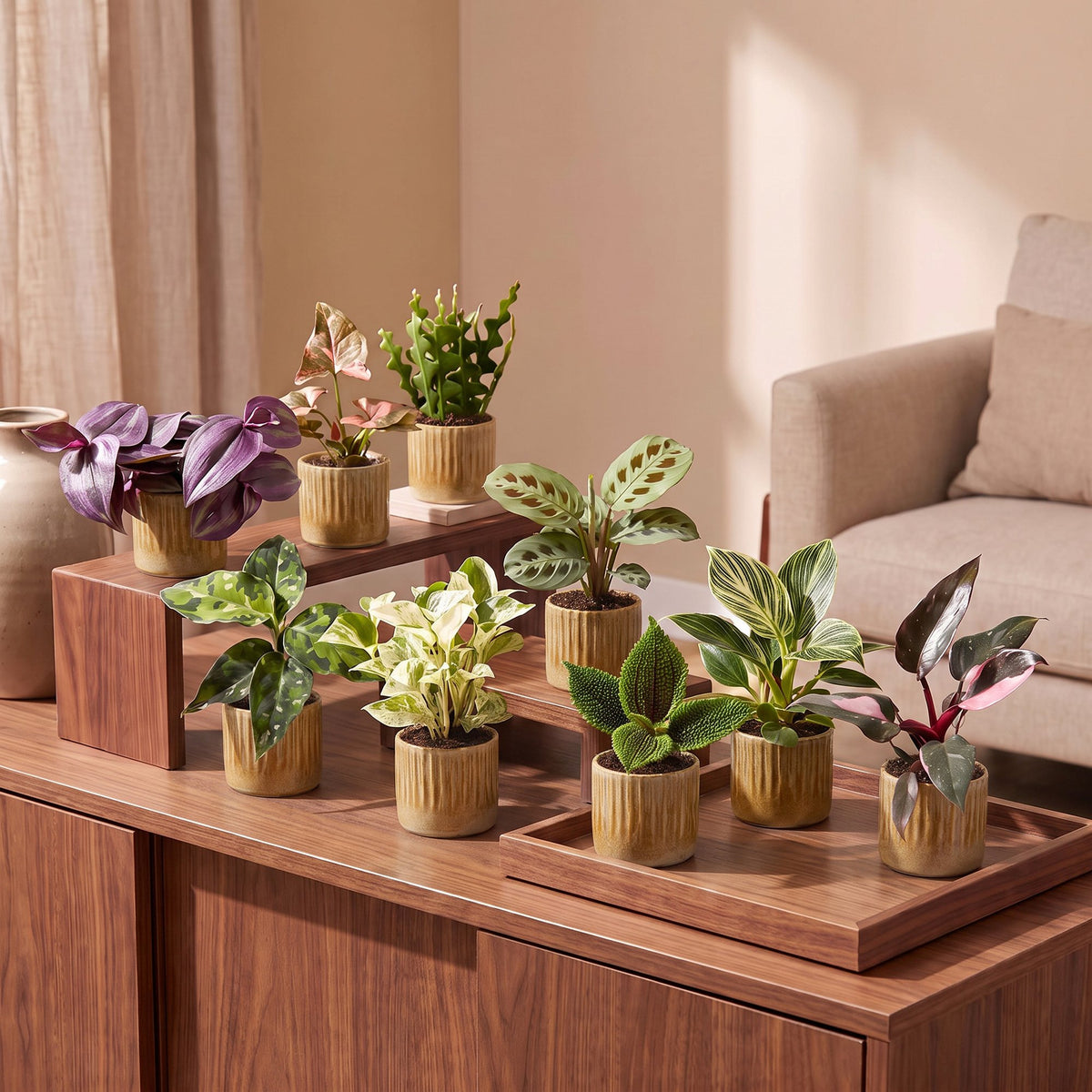 9x Baby Plants Surprise Box - Baby Plants Surprise Box - Various colours - Tropical - incl. Linnea Honey - Ø6cm - ↕5-15cm