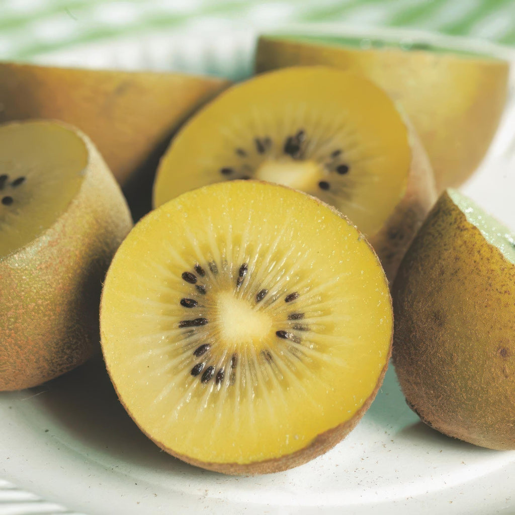 Green boutiQ - Plant fruitier - Actinidia Weiki & Kiwi doré - Pied de kiwi - 1 mâle - 2 femelles - Plantes - Jaune - Pot 15cm - Hauteur 50cm