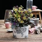 Green boutiQ - Plante de jardin - Rose de Carême - Hellébore lividus Purple Marble - Fleur violette - 1 Plante - Persistante - Pot 14cm Hauteur 35cm