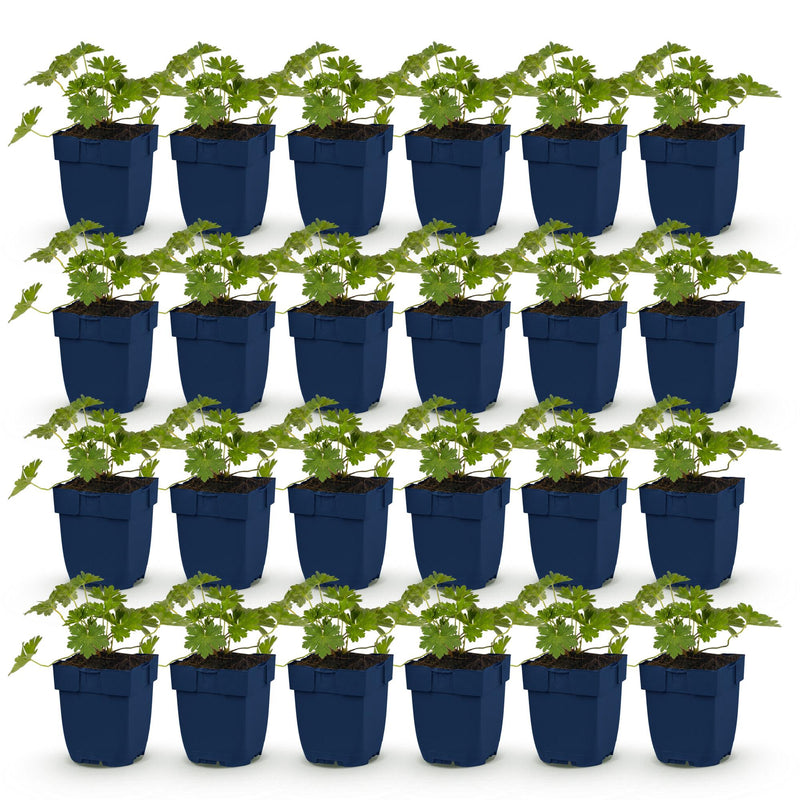 Green boutiQ - Vasteplant - Geranium 'Rozanne' - Ooievaarsbek - Bodembedekkend - Blauw - 24 Planten - Pot 11cm - Hoogte 15-25cm