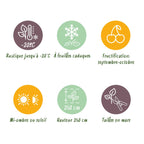 Green boutiQ - Obstpflanze - Vitis vinifera Lakemont - Weinrebe - Winterhart - Goldgelbe Traube - 2 Pflanzen - Topf 15cm - Höhe 50cm