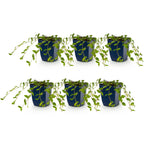 Plante vivace - Vinca minor - Petite pervenche - Couvre-sol - Bleu - 6 plantes - Pot 11cm - Hauteur 15-25cm