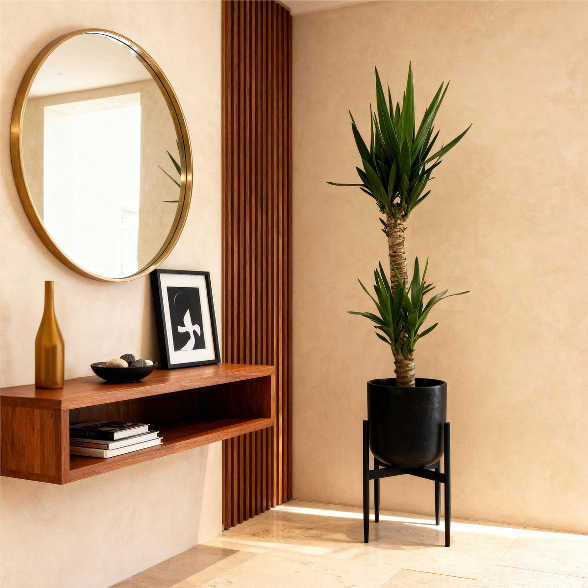 Green boutiQ - Kamerplant - Yucca elephantipes - Yucca - Weinig onderhoud - Groen - 2 - Pot 19cm - Hoogte 95cm