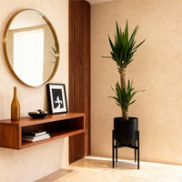 Green boutiQ - Kamerplant - Yucca elephantipes - Yucca - Weinig onderhoud - Groen - 2 - Pot 19cm - Hoogte 95cm