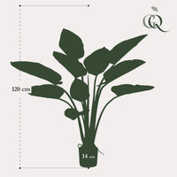 Philodendron - 120 cm - kunstpflanze