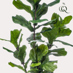 plante artificielle - Ficus Lyrata - Figuier lyre - 150 cm