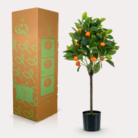 Citrus Sinensis - Orange baum - 75 cm - kunstpflanze