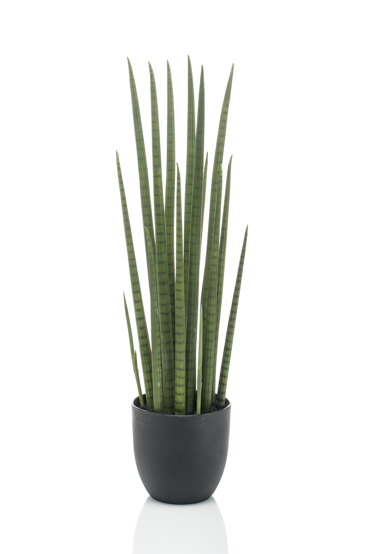 Sansevieria Cylindrica - Frauenzunge - 70 cm - kunstpflanze