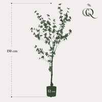 Tropaeolum Speciosum - Ostindische Kirsche - 150 cm - kunstpflanze