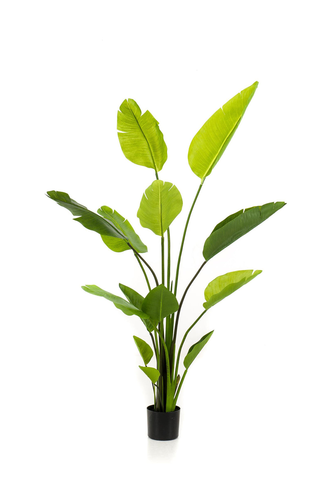 Plante artificielle - Strelitzia Nicolai - Oiseau de paradis - 150 cm