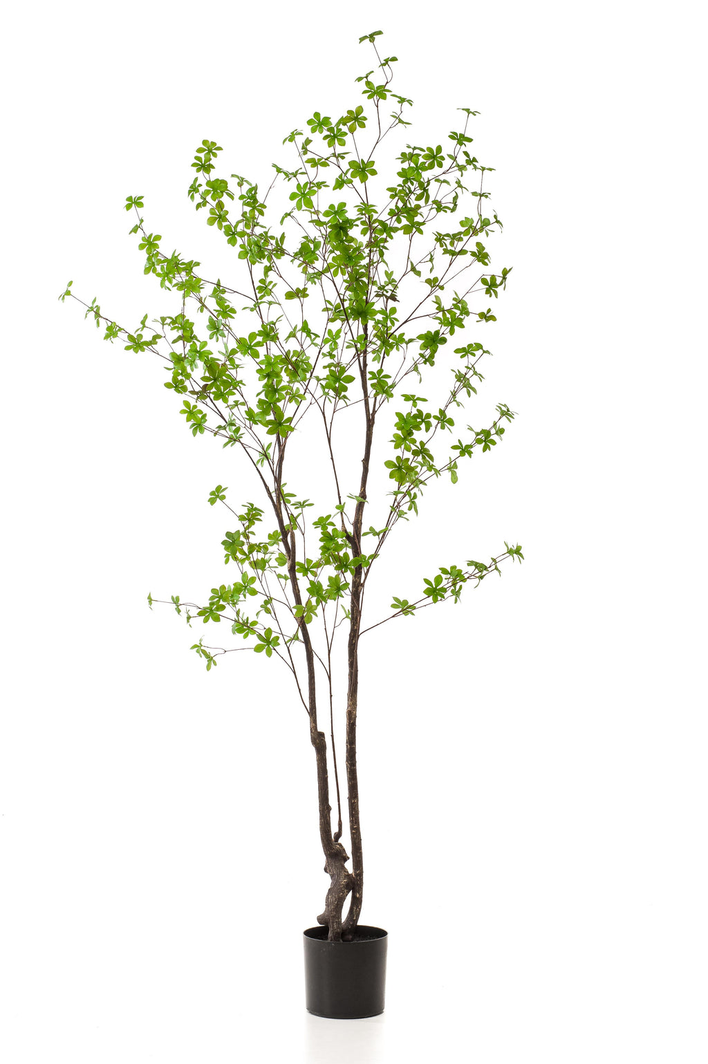 Plante artificielle - Tropaeolum Speciosum - Capucine - 210 cm