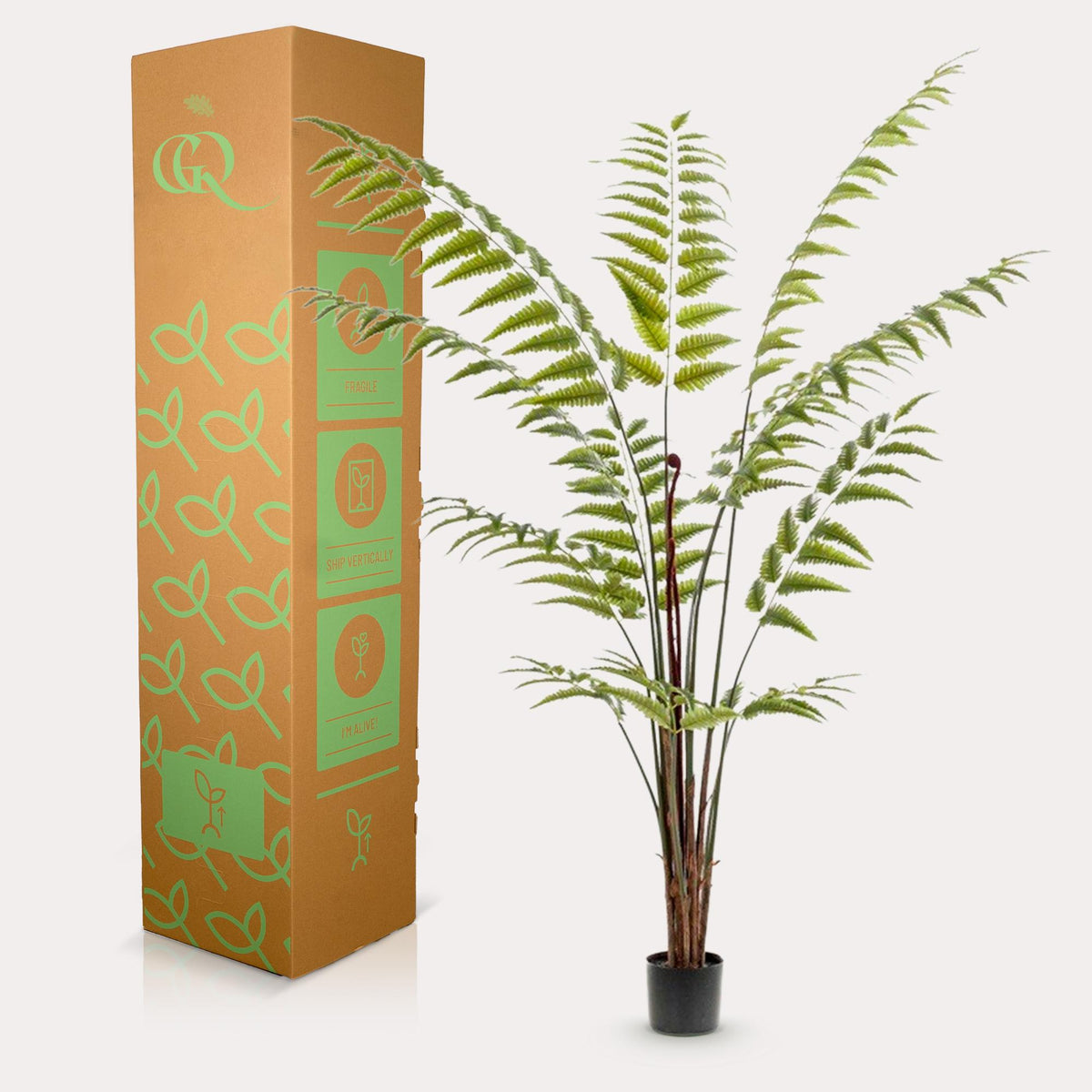 Plante artificielle - Rumohra Adiantiformis - Fougère de cuir - 180 cm