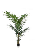 Plante artificielle - Kentia - Palmier Kentia - 150 cm