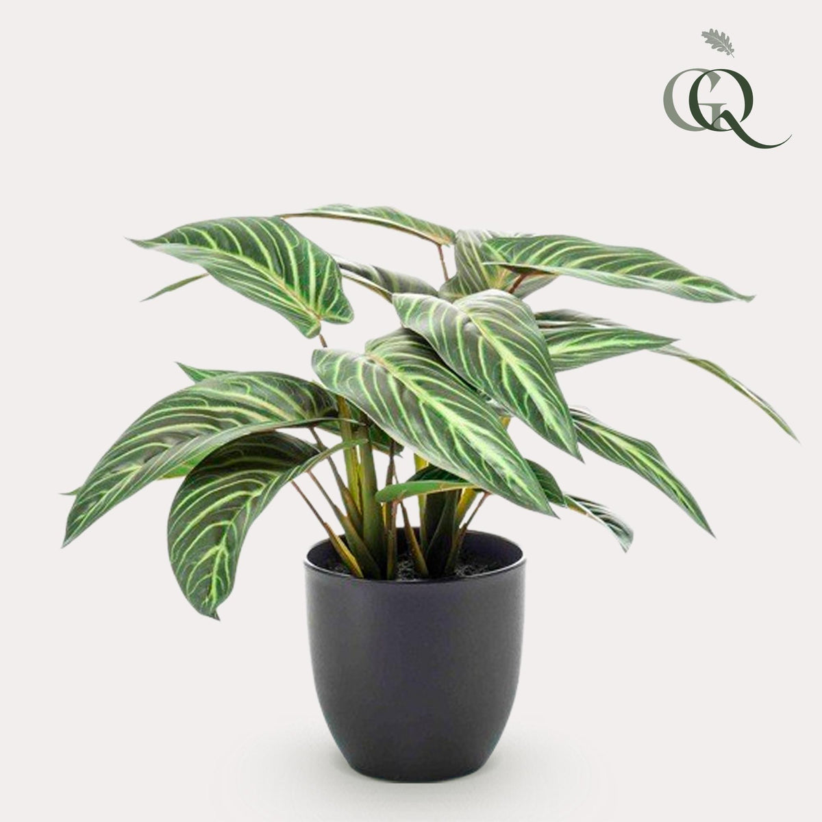 Kunstplant - Calathea Zebrina - Schaduwplant - 38 cm