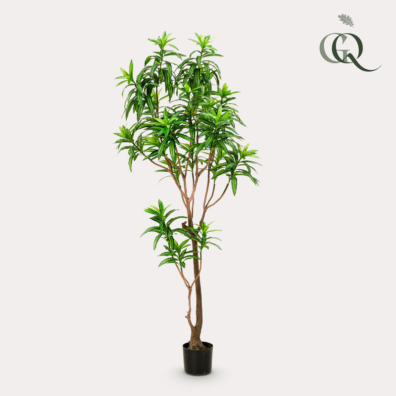 Kunstplant - Dracaena - Drakenboom - 190 cm