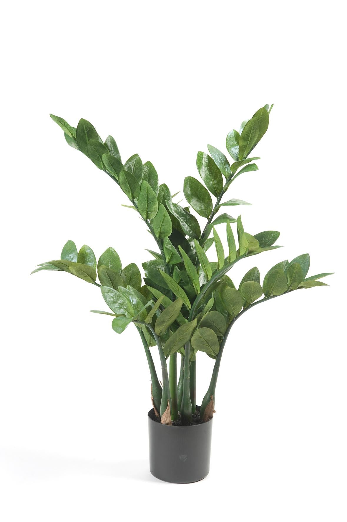 Zamioculcas - Zimmerpalme - 70 cm - kunstpflanze