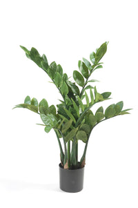 Zamioculcas - Zimmerpalme - 70 cm - kunstpflanze