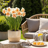 Green boutiQ - Bloembollen - Narcis Replete - Kleur Wit en Oranje - 10 stuks - Bolmaat 10/12 - XXL Pack