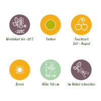 Green boutiQ - Fruitplanten - Kruisbes - Ribes uva-crispa Hinnonmaki Grun - Winterhard - 3 Planten - Pot 9 cm - Groene Bes