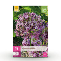 Green boutiQ - Bloembollen - Allium Christophii - Kleur Paars - 15 stuks - Bolmaat 10/2 - XXL Pack
