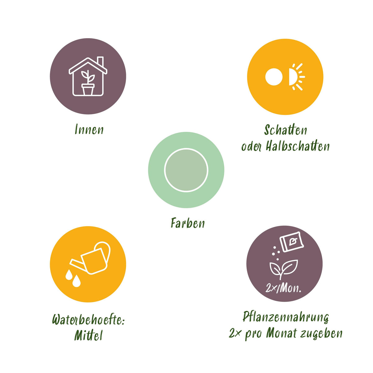 Green BoutiQ - Green is... Kamerplanten - Aglaonema Silver Bay - Zilverblad - Weinig onderhoud - Groen - 1 Plant - Pot 17cm - Hoogte 70-75cm