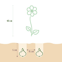 Green boutiQ - Bloembollen - Freesia Double Mix - Diversen Kleuren - 40 stuks - Bolmaat 5/6 - XXL Pack