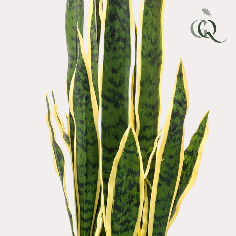 Sanseveria Trifasciata - Frauenzunge - 97 cm - kunstpflanze