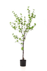 Tropaeolum Speciosum - Ostindische Kirsche - 150 cm - kunstpflanze