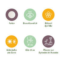 Green boutiQ - Bloembollen - Leucojum Aestivum - Kleur Wit - 20 stuks - Bolmaat 8/9 - XXL Pack