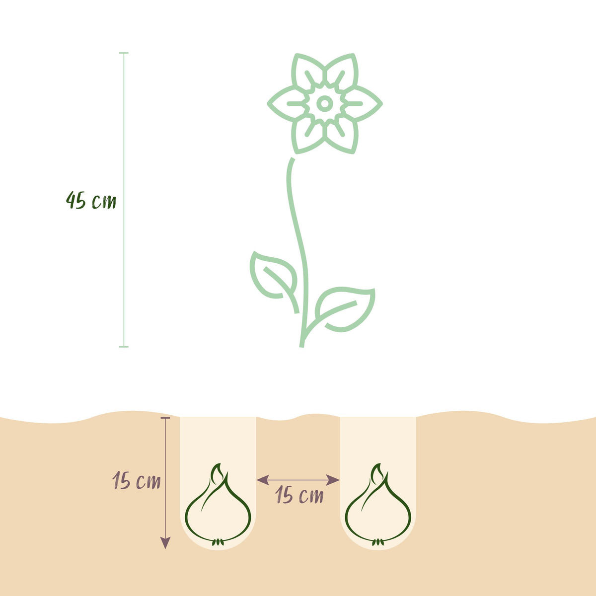 Green boutiQ - Bloembollen - Narcis Yellow - Kleur Geel - 40 stuks - Bolmaat 10/12