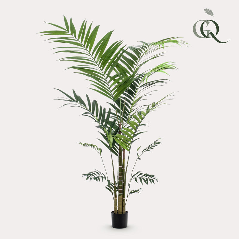 Kunst plant - Kentia -Kentiapalm - 210cm XXL - AB