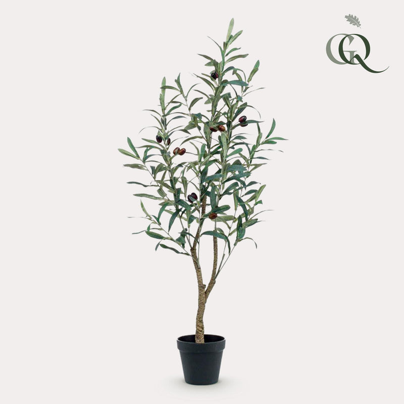 Olea Europaea - Olivenbaum- 90 cm - kunstpflanze