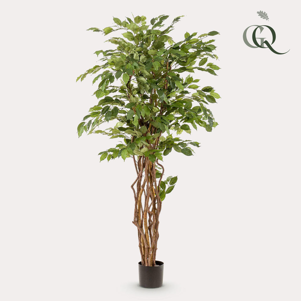 Plante artificielle - Ficus liana - Figuier lyre - 170 cm