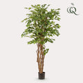 Plante artificielle - Ficus liana - Figuier lyre - 170 cm