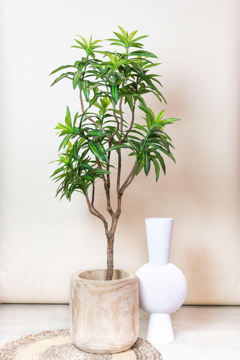 Dracaena - Drachenbaum - 155 cm - kunstpflanze
