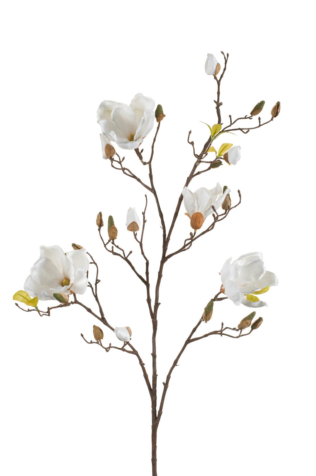 Fleurs artificielles Solo - Crème - Branches de magnolia - x 4 - 105 cm