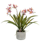 Plante artificielle - Orchidée - Bordeaux - 45cm