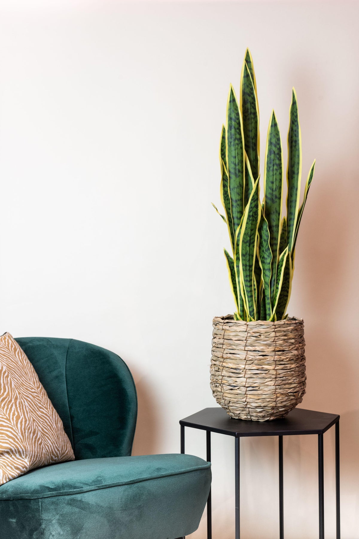 Kunstpflanze - Sanseveria Trifasciata - Bogenhanf - 97 cm