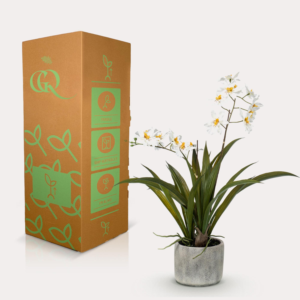 Kunstplant - Orchidee - Wit - 45cm