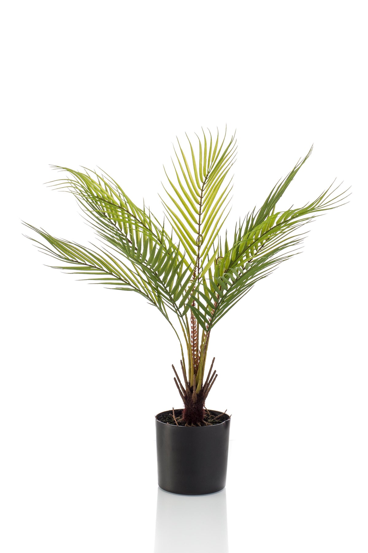 Chamaedorea Elegans- Bergpalme - 50 cm -kunstpflanze