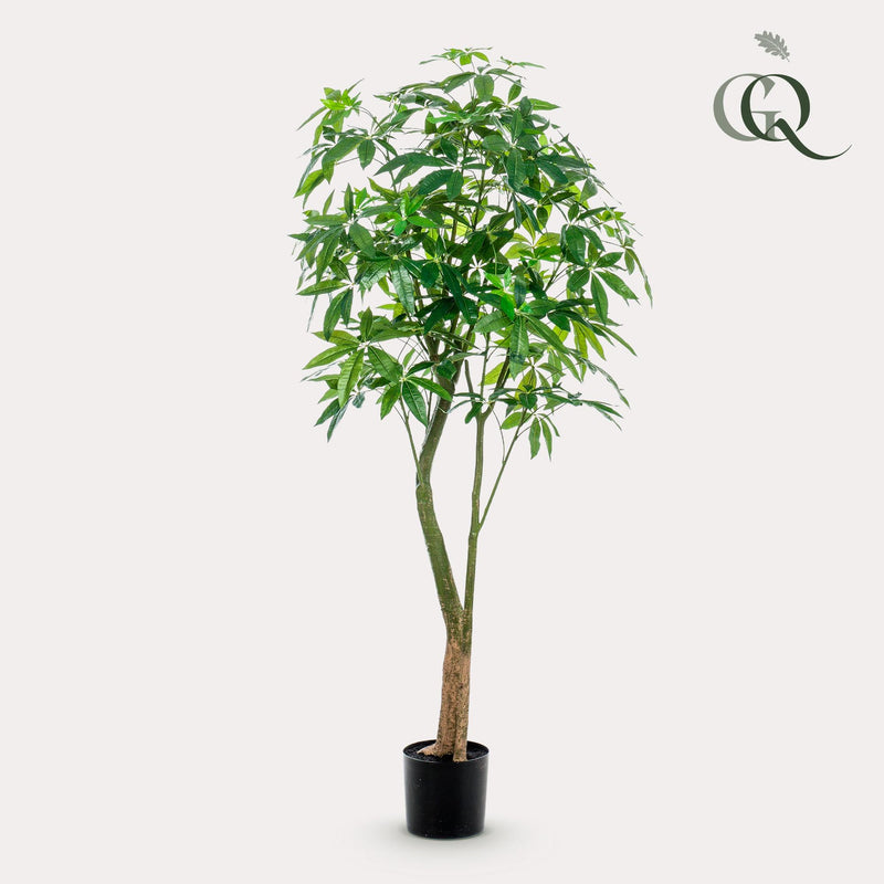Kunstplant - Pachira Aquatica - Geldboom - 180 cm